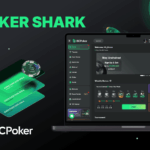 What is a Shark in Poker?